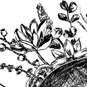 opening your mind1 Kopie 2